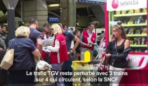 Montparnasse: trafic TGV toujours perturbé, pagaille en gare