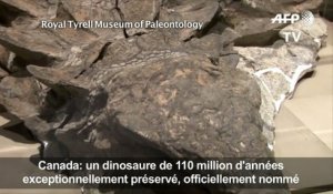 Des scientifiques révèlent l'histoire d'un dinosaure canadien