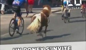 Un poney s'invite lors d'une étape du Tour de Pologne