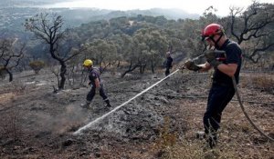 Les feux continuent de gagner du terrain en Corse