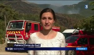 Incendie en Corse-du-Sud : la colère des habitants de Palneca