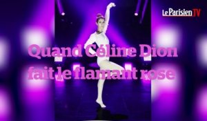 Quand Céline Dion fait le flamant rose