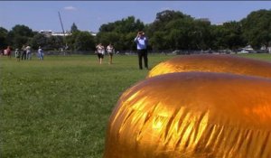 Un poulet gonflable géant à l'effigie de Trump installé devant la Maison Blanche
