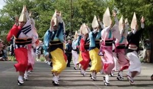 Japon: un million de personnes au festival de danse "Awa"