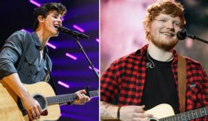 Ed Sheeran Joins Shawn Mendes For Duet During Brooklyn Concert | Billboard News