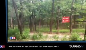 Chine : un homme attaqué par un ours lors d'une visite au zoo (vidéo)