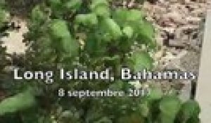 Une plage des Bahamas s'est entièrement vidée après le passage de l'ouragan Irma