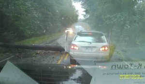 Cet automobiliste se prend un arbre en pleine tempête... La mort n'était pas loin