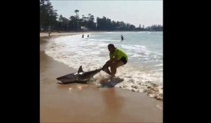 Un homme tente de remettre à la mer un requin échoué sur une sur plage