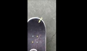 Faire du skate avec une mante religieuse... Mauvaise idée!