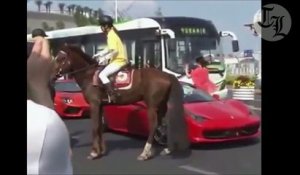 Cheval VS Ferrari - grand coup de sabot dans la voiture