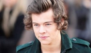 Harry Styles Distances Himself From One Direction in Documentary
