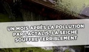 Un mois après la pollution par Lactalis, la Seiche souffre terriblement