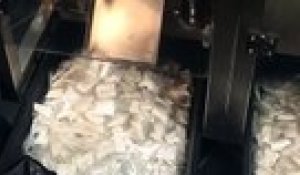 Brésil : La police découvre une machine pour emballage de sachets de cocaïne !