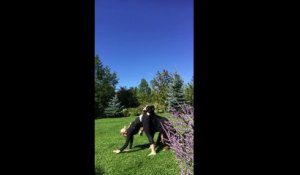 Session de Yoga dans le jardin.. sabotée par ce gros chien lol