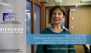 Questions à Sylvie CELERIER (Université de Lille) - travail indépendant  - cese