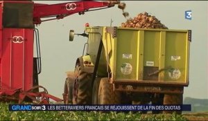 2017, l'année exceptionnelle des producteurs de betteraves français