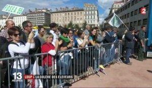 Lyon : les éleveurs manifestent contre le Plan Loup du gouvernement