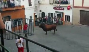 Ne pas provoquer un taureau
