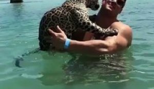 Il nage avec son jaguar... Incroyable