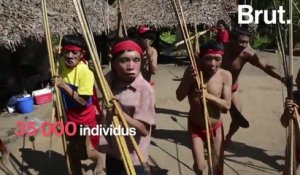 Les Yanomami, peuple autochtone massacré par la ruée vers l’or