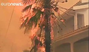 Portugal: 27 personnes sont mortes depuis dimanche dans des incendies qui ont touché des zones forestières du pays