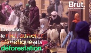Progression du Sahara : le projet vertigineux de la Grande muraille verte
