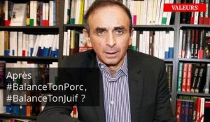 #BalanceTonPorc : Eric Zemmour se lâche