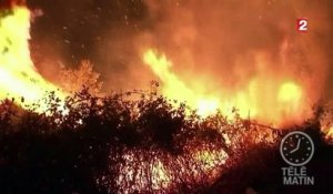 Portugal : les 5 000 pompiers débordés, l'armée déployée