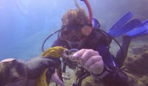 Un plongeur sauve une murène piégée dans un fil de pêche et sur le point de mourir