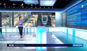 TGV : des dessertes menacées par la SNCF ?