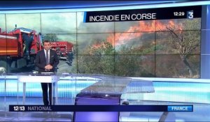 Corse : la sécheresse, principale cause d'incendies