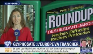 Glyphosate : parlement européen, comité d'experts, Etats membres... qui décide de quoi ?