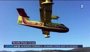 Corse : l'île ravagée par des incendies criminels