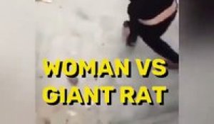 Une femme se bat avec un balais contre un rat très agressif