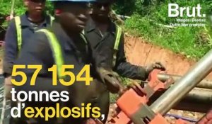 Mine d'or en Guyane : WWF craint la catastrophe écologique