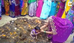 Des enfants roulés dans de la bouse de vache lors d'un rituel indien