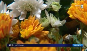 Comment le chrysanthème est-il devenu une fleur dédiée au deuil ?