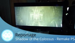 Reportage - Shadow of the Colossus - Un remake somptueux sur PS4 !