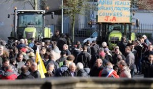 VIDEO. 450 agriculteurs dans la manifestation à Parthenay (79)