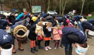 Flash-mob de soutien au zoo de Pont-Scorff