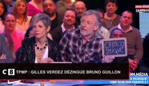TPMP : Gilles Verdez dézingue Bruno Guillon (Vidéo)