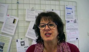 Martine AMALFI : Professeur de Litterature/Lycée Jean Lurçat