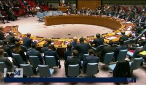 Armes chimiques en Syrie : nouveau veto russe à l'ONU