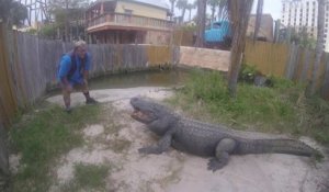 Ce dresseur de crocodile fête Thanksgiving avec ses alligators... Dingue