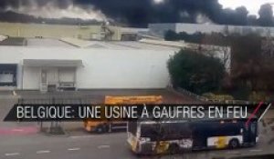 Belgique: une usine à gaufres ravagée par les flammes