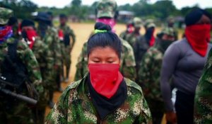 Colombie: quand la paix n'éteint pas la violence
