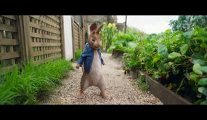 Pierre Lapin - Bande-annonce - VF