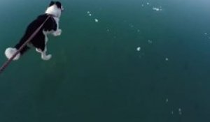 Il se balade avec son chien sur un lac gelé completement transparent... Magnifique