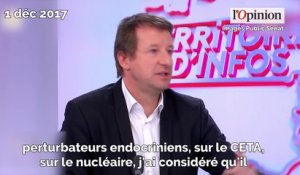 La nouvelle pique de Yannick Jadot contre Nicolas Hulot